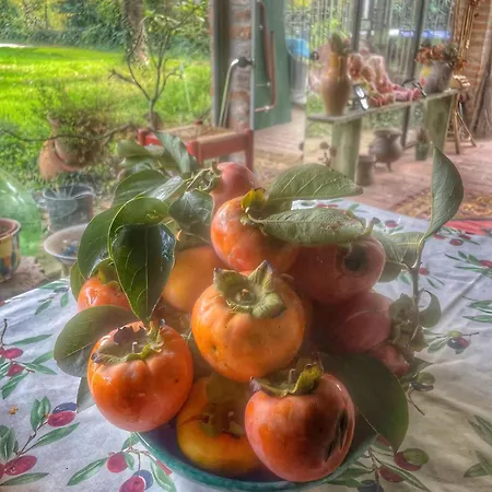 Bed & Breakfast A Casa Di Maica Ferrara