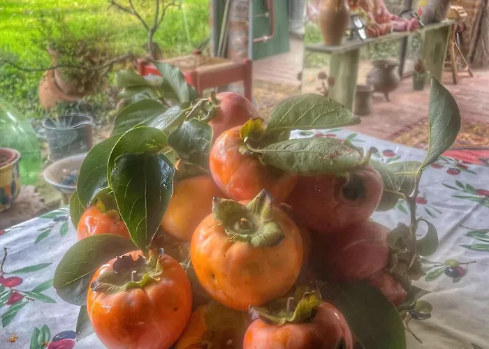 B&B A Casa Di Maica 페라라